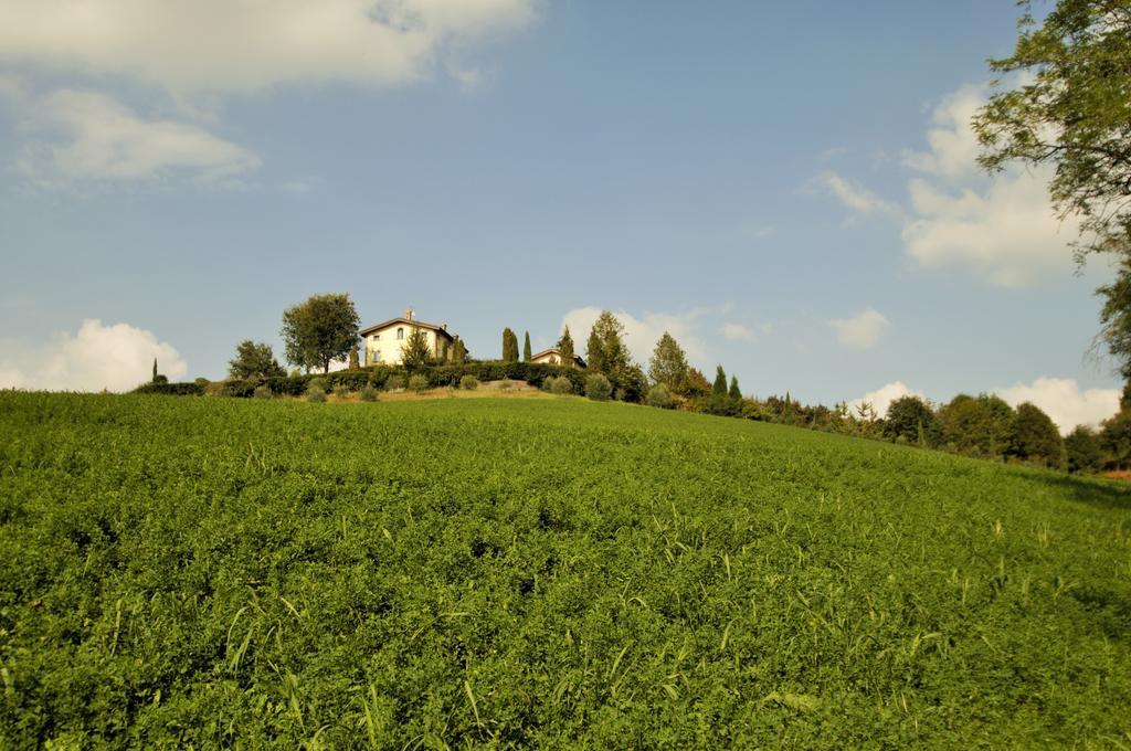 La Vedetta Bed And Breakfast Кастельветро-ди-Модена Экстерьер фото